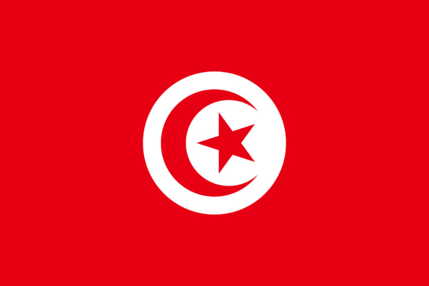 Restriction voyage Tunisie : test PCR négatif moins de 72h avant l’arrivée Restriction voyage Tunisie : test PCR négatif moins de 72h avant l’arrivée