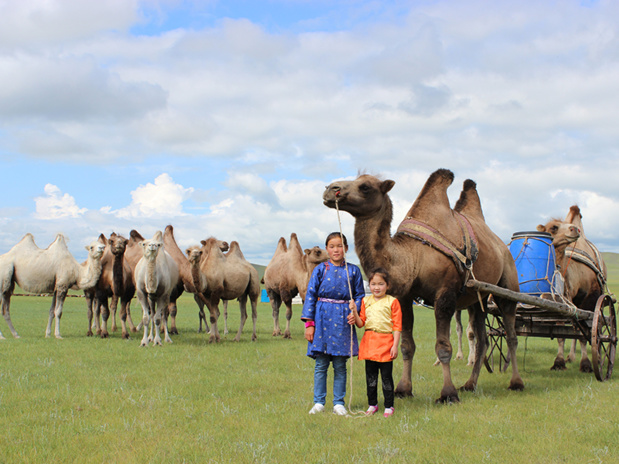10 Choses à faire en Mongolie 