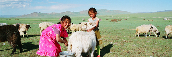 © DMD-Mongolie © DMD-Mongolie