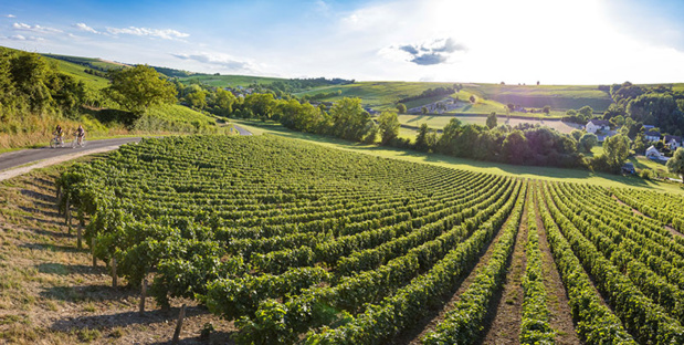 Sancerre - DR : D. Darrault - CRT Centre Val de Loire