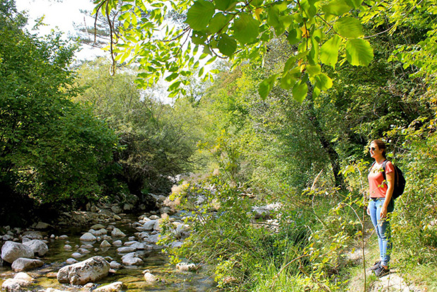 DR : Chillio.C DR : Chillio.C