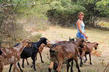 DR : Chillio.C DR : Chillio.C