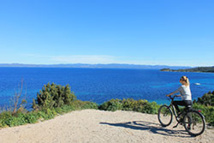 DR : Marchand.C DR : Marchand.C