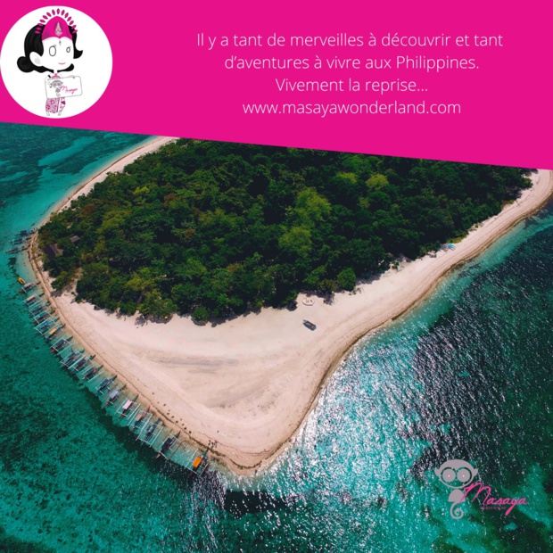 MASAYA WONDERLAND: Nous sommes prêts pour 2021... MASAYA WONDERLAND: Nous sommes prêts pour 2021...