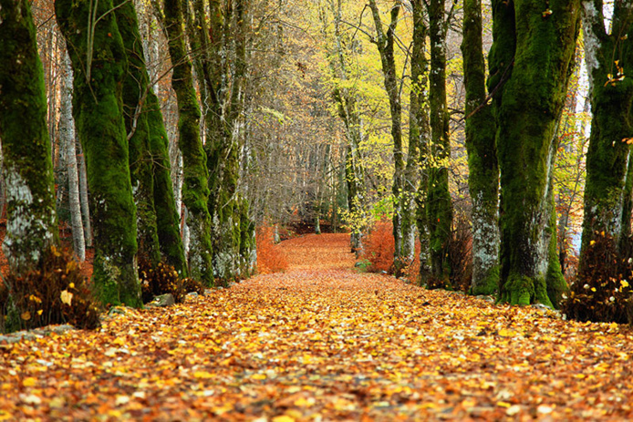 DR : Agence du Tourisme de Corse - Sylvain Alessandri DR : Agence du Tourisme de Corse - Sylvain Alessandri