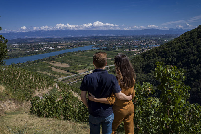 Vignobles des Côtes du Rhône, autour de Tournon et Tain l'Hermitage © A. Stenger/ Auvergne-Rhône-Alpes Tourisme Vignobles des Côtes du Rhône, autour de Tournon et Tain l'Hermitage © A. Stenger/ Auvergne-Rhône-Alpes Tourisme