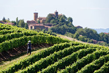 Vignoble du Beaujolais, autour d'Oingt (69), © P. Muradian/ Auvergne-Rhône-Alpes Tourisme Vignoble du Beaujolais, autour d'Oingt (69), © P. Muradian/ Auvergne-Rhône-Alpes Tourisme