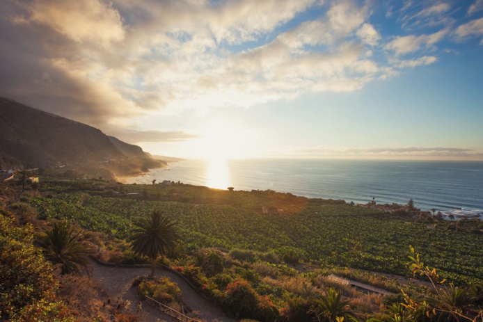 Plage Rambla de Castro à Tenerife- DR Office de tourisme de Tenerife Plage Rambla de Castro à Tenerife- DR Office de tourisme de Tenerife
