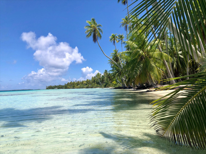 Le communiqué polynésien sème le doute dans la tête des voyageurs jusqu'aux hôteliers et prestataires locaux - Photo Polynésie JDL