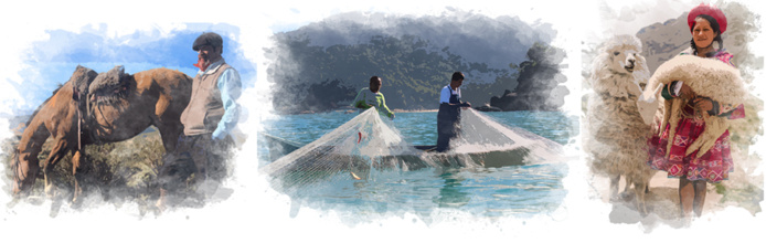 Les Collections Xplora by Terra Les Collections Xplora by Terra