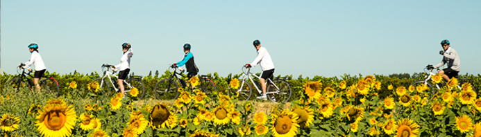 DR Cyclomundo / Groupe en Provence