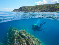 Plongée à Banyuls-sur-mer / DR WePeaks Plongée à Banyuls-sur-mer / DR WePeaks