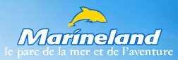 Antibes : Parques Reunidos relance Marineland