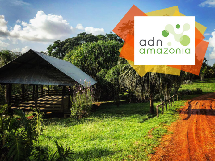 © SDessons-adnamazonia / Sur la route de cacao
