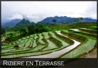 PHOENIX VOYAGES : 21 ANS D’EXPERTISE ET DE PRODUITS NOVATEURS EN ASIE PHOENIX VOYAGES : 21 ANS D’EXPERTISE ET DE PRODUITS NOVATEURS EN ASIE