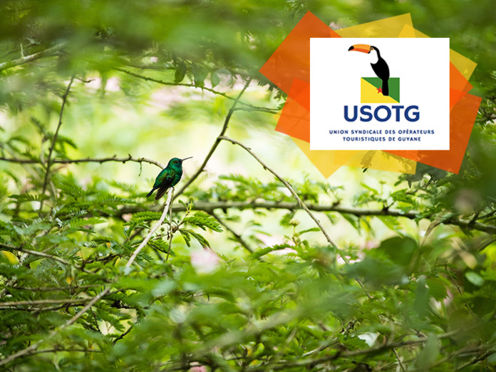 © CTG – Fenêtre sur l’Amazonie française © CTG – Fenêtre sur l’Amazonie française