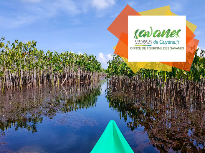 © Office de Tourisme des Savanes / Le Pripri de Yiyi à la Maison de la Nature de Sinnamary © Office de Tourisme des Savanes / Le Pripri de Yiyi à la Maison de la Nature de Sinnamary