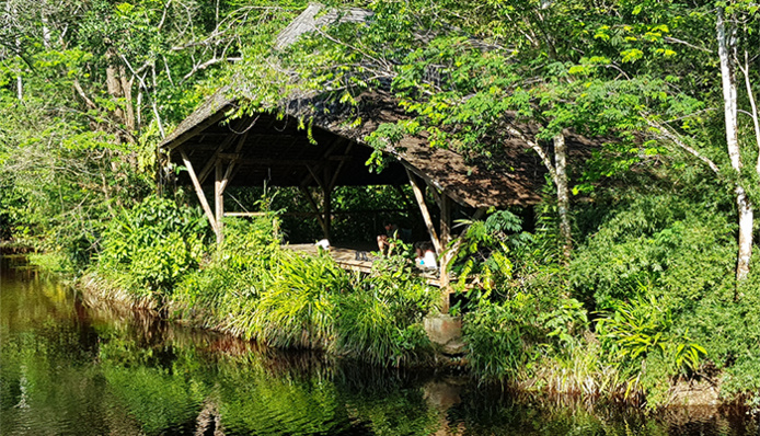 © CTG - Dgolitin - La Crique Morpio à Iracoubo © CTG - Dgolitin - La Crique Morpio à Iracoubo