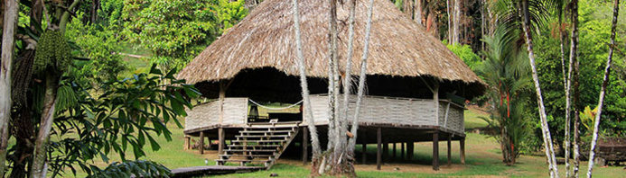 © Hansjorg / Camp Cisame carbet Palabre © Hansjorg / Camp Cisame carbet Palabre