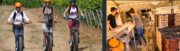 © Destination Sâone & Loire – SWT Event / Trottinette Electrique et Visite au Domaine © Destination Sâone & Loire – SWT Event / Trottinette Electrique et Visite au Domaine