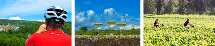 © Active Tours / © Active Tours / © Alain Doire - Bourgogne Tourisme © Active Tours / © Active Tours / © Alain Doire - Bourgogne Tourisme