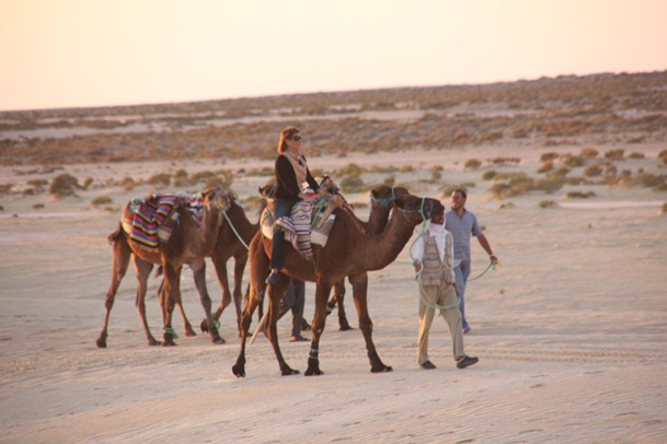 Tunisie, le dilemme : alors, on 