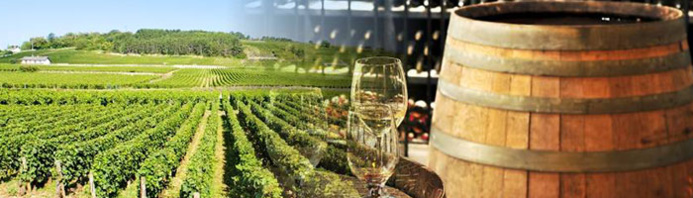 Vignoble & cave - © A chacun son escapade