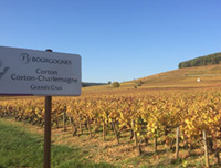 Colline de Corton - © A chacun son escapade Colline de Corton - © A chacun son escapade