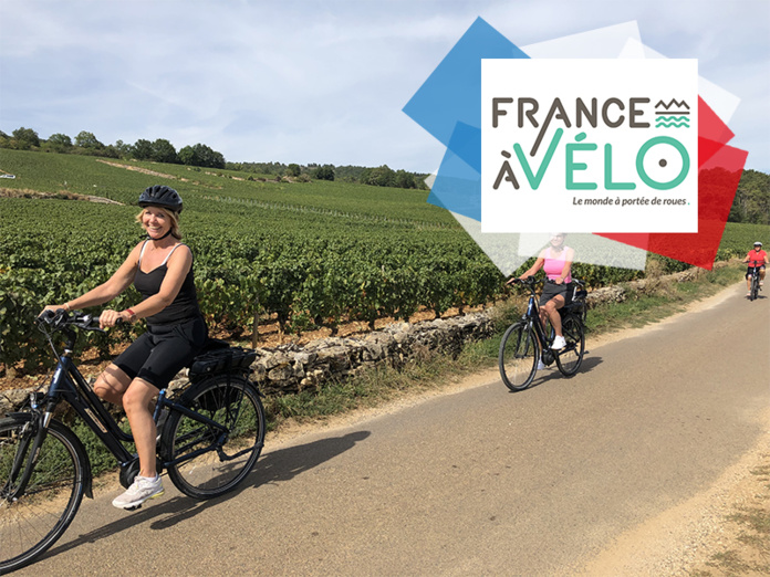 Vignes – © France à vélo