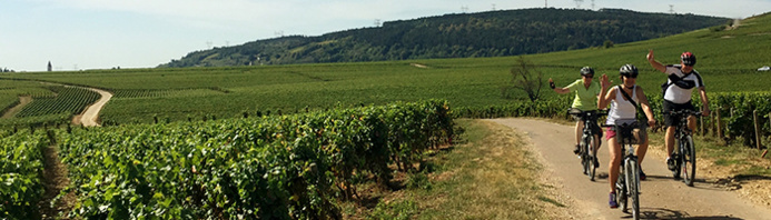 Vignobles de Bourgogne - © France à vélo