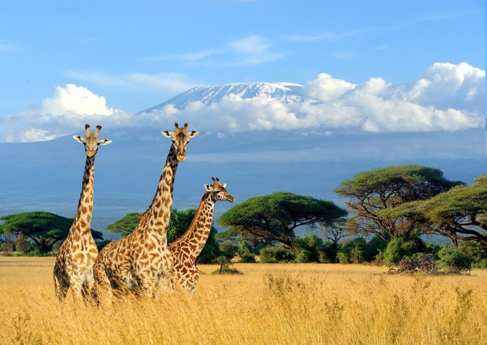 Kenya: la présentation d'un visa électronique obtenu avant le départ sera obligatoire dès le 1er Janvier 2021