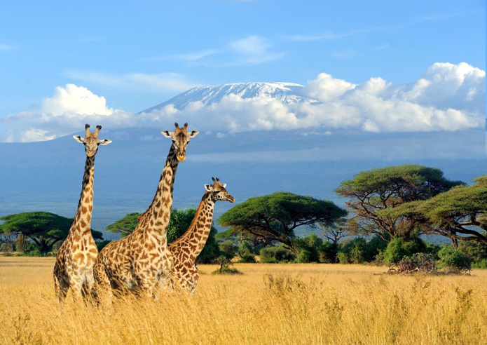 Le visa électronique, seul sésame pour visiter le Kenya en 2021 (photo: Adobe Stock)