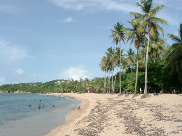 Après le succès de son 1er salon des Croisières, la Martinique va bientôt accueillir, feux d’artifice à l’appui, une transat de la Classe Figaro Bénéteau, la 1ère Bretagne-Martinique, qui partira de Brest le 17 mars pour rejoindre Fort de France le 3 ou 4 avril suivant. - Photo JdL