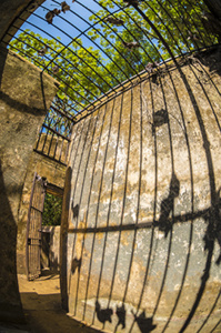 Vestige cellule île Saint-Joseph Vestige cellule île Saint-Joseph