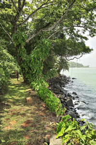 Sentier de randonné bord de mer Île Royale