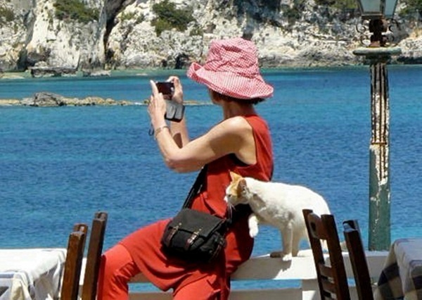 Adeline a déjà tiré sa révérence... (photo FB) Adeline a déjà tiré sa révérence... (photo FB)