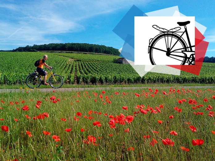© Escapade Gourmande / Chablis & Coquelicots à vélo