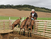 © Escapade gourmande / Jacky chèvres © Escapade gourmande / Jacky chèvres