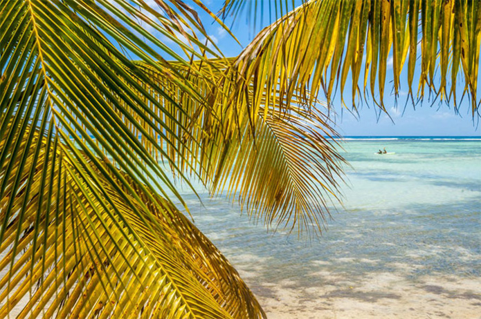 © Comité du Tourisme des Îles de Guadeloupe