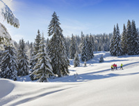 © S.Buisson / ski de fond © S.Buisson / ski de fond