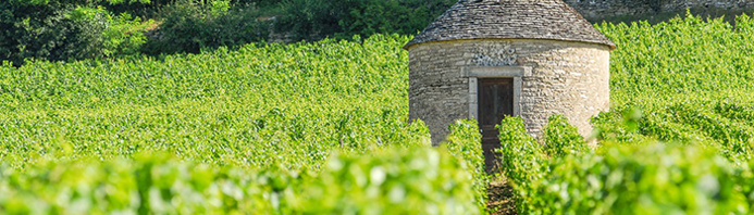 Cabotte au milieu des vignes © Alain DOIRE / Bourgogne-Franche-Comté Tourisme