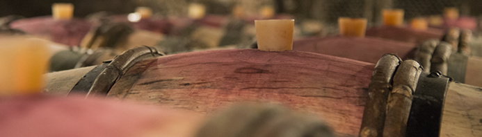 Fûts de vins en chêne dans des caves Bourguignonnes © Alain Doire Bourgogne Franche Comté Tourisme