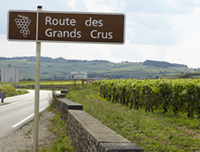 La route des Grands Crus © Dijon Tourisme