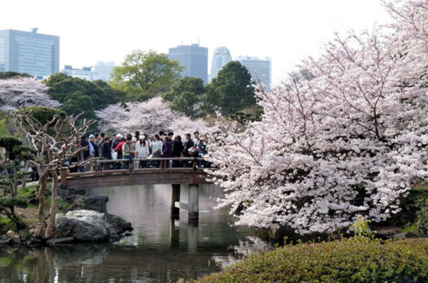 A l'approche du printemps, une reprise de l'activité touristique vers le Japon se fait sentir parmi les professionnels du tourisme - DR