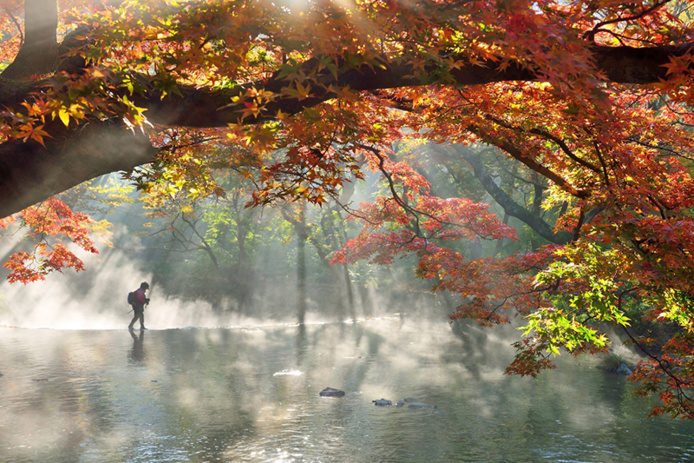 La Corée de tous les voyageurs La Corée de tous les voyageurs