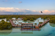 Jubail Island Mangrove Park © Abu Dhabi Department of Culture and Tourism Jubail Island Mangrove Park © Abu Dhabi Department of Culture and Tourism