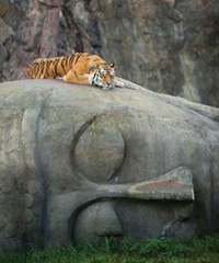 © Relais d'Asie / Secret Retreats © Relais d'Asie / Secret Retreats