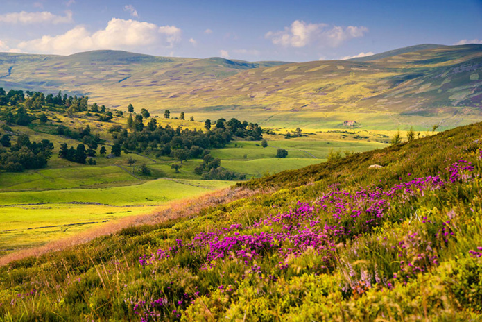 Views along the Snow roads - DR VisitScotland - North East 250 - Damian Shields