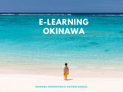 Lancement de l'elearning sur Okinawa au Japon - DR