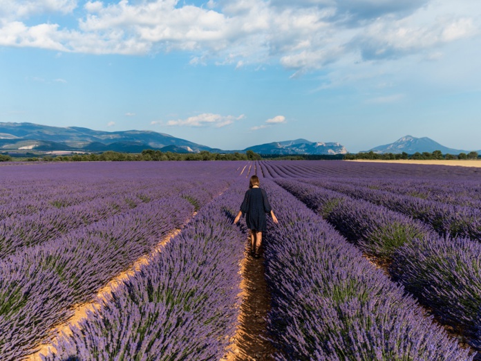 La France reste une destination de deux régions essentiellement, l’Ile-de-France et la région Sud (PACA) qui possèdent des patrimoines culturels et naturels qui n’ont aucun besoin de promotion et qui attirent sur leur seul nom des millions de visiteurs directs - DR : DepositPhotos, AlexGukBO La France reste une destination de deux régions essentiellement, l’Ile-de-France et la région Sud (PACA) qui possèdent des patrimoines culturels et naturels qui n’ont aucun besoin de promotion et qui attirent sur leur seul nom des millions de visiteurs directs - DR : DepositPhotos, AlexGukBO